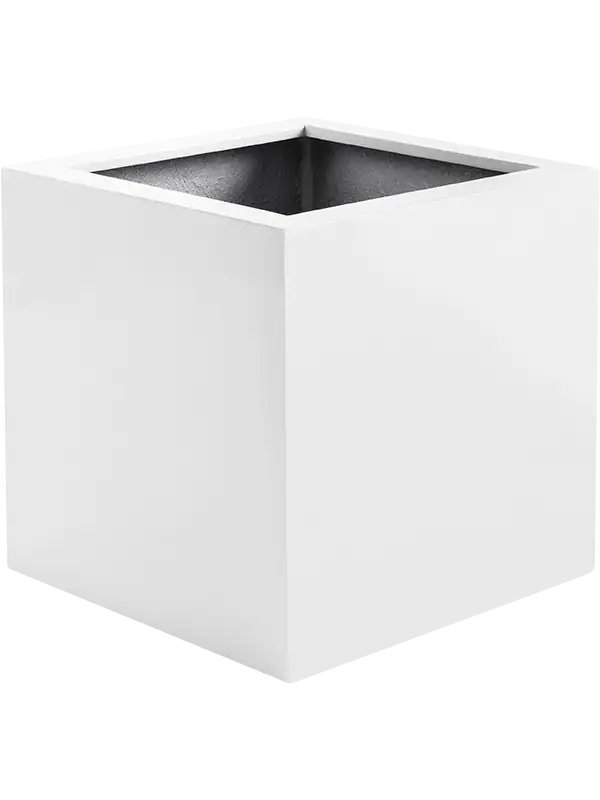 Argento Cube - Matt White