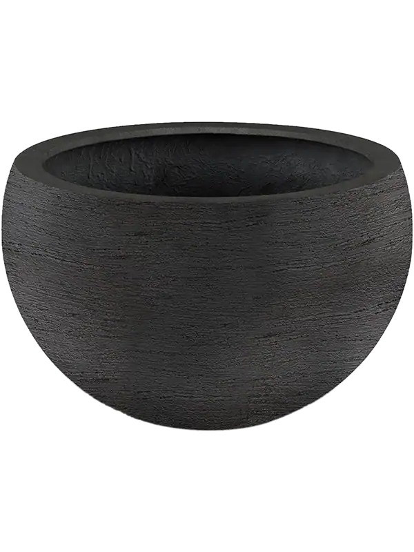 Terreno Elena - Earth