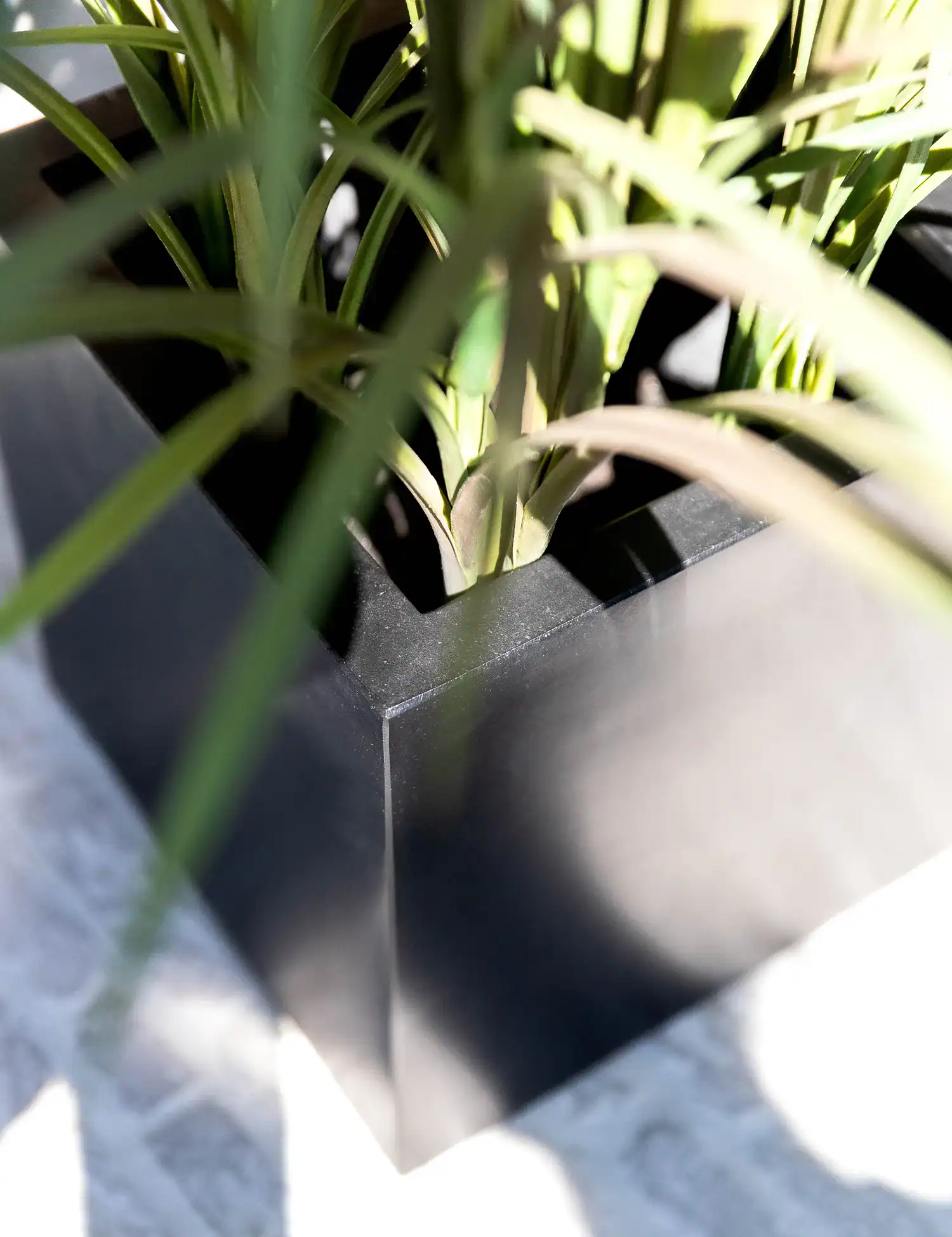 Argento Cube - Black