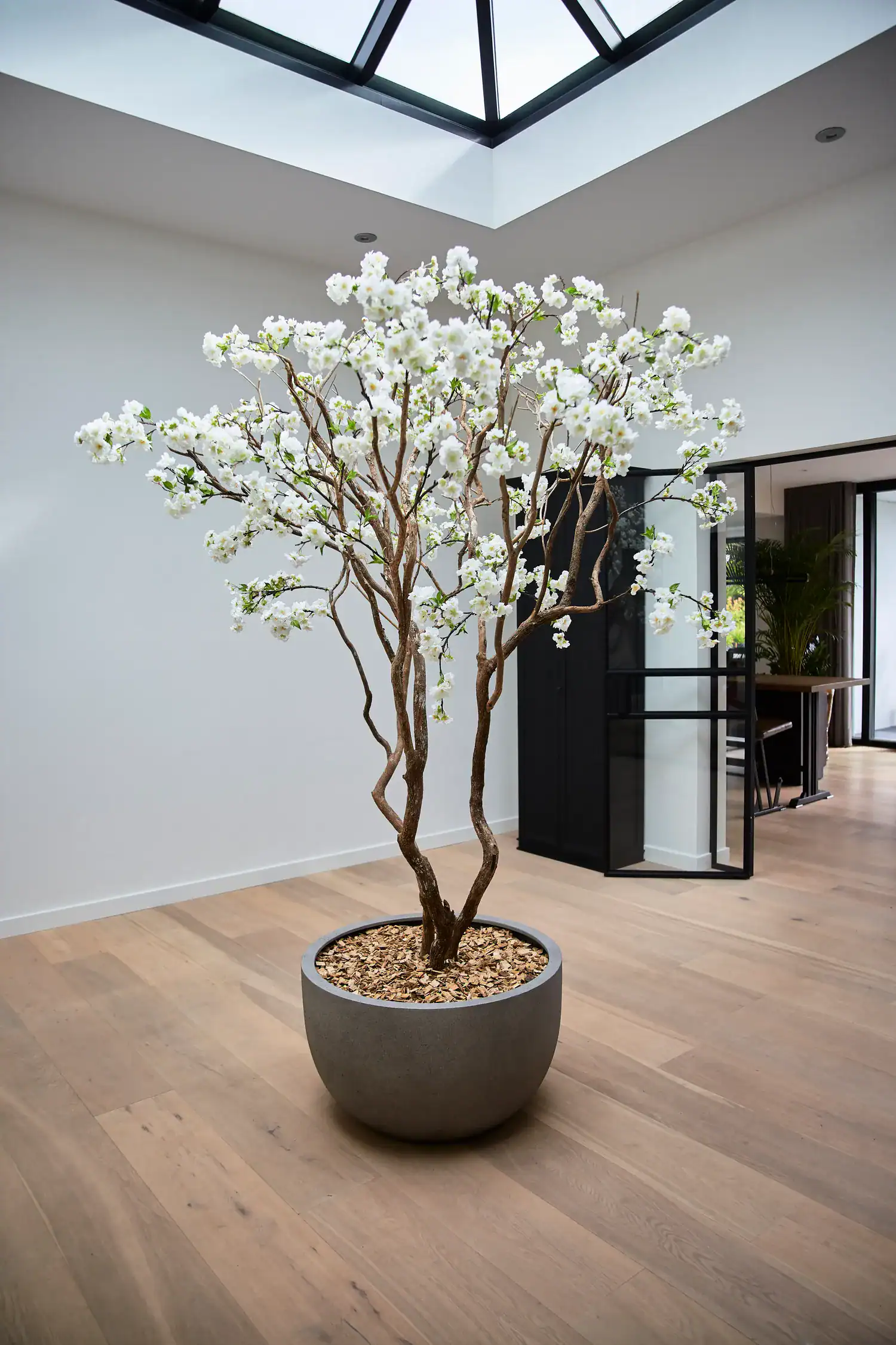 Grigio New Egg Pot Low - Natural Concrete