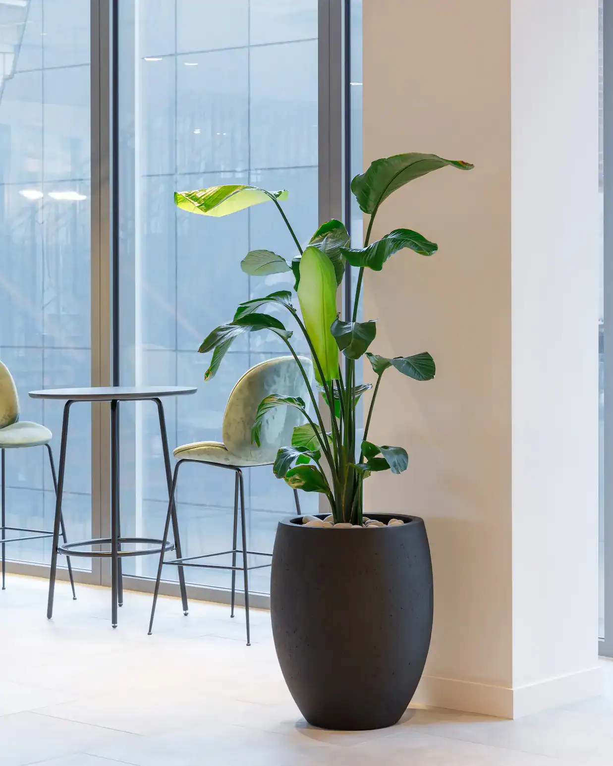 Grigio Tall Balloon - Anthracite