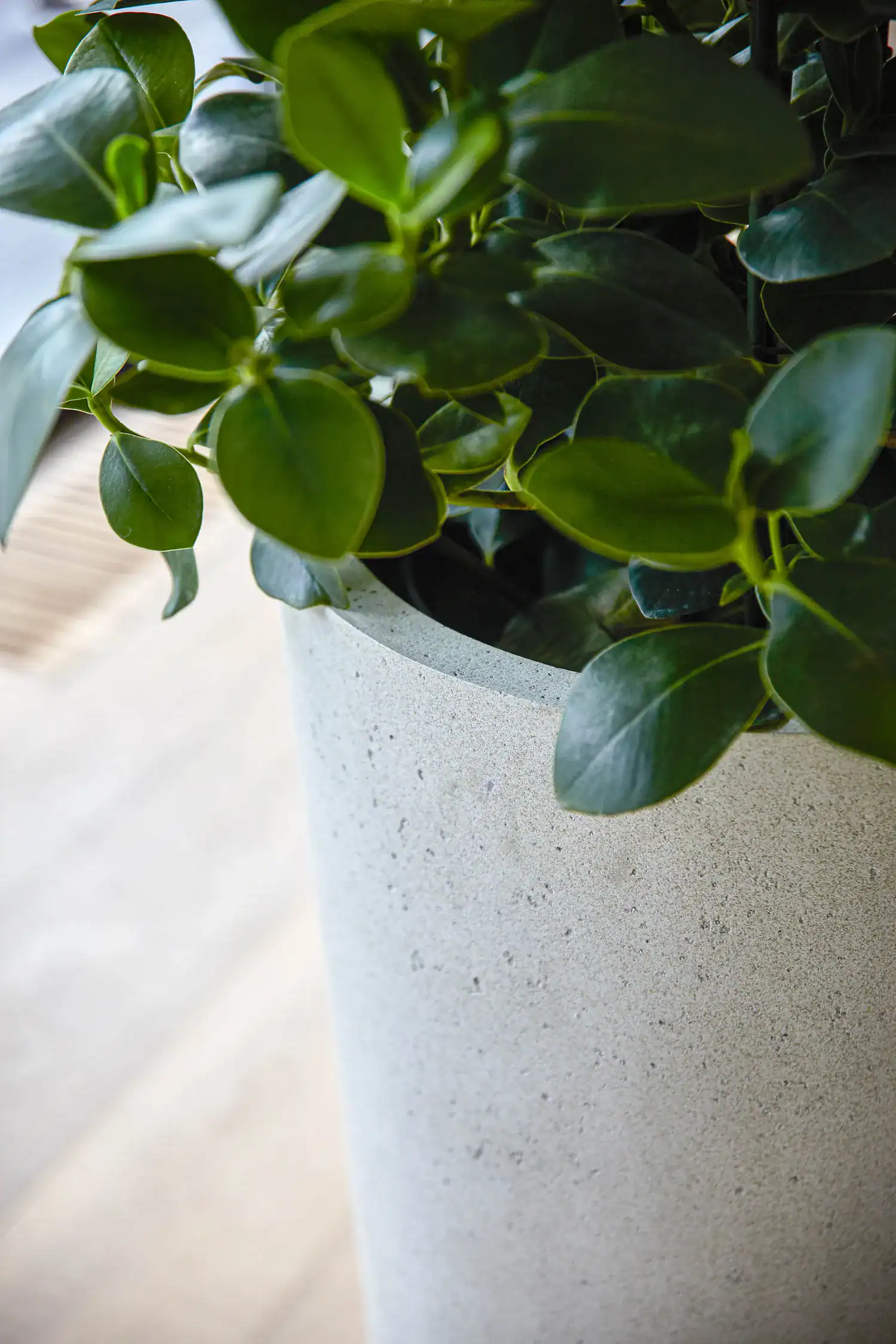 Grigio Vase - Antique White